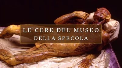 Museo della Specola: Anatomia Umana