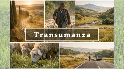 La Toscana in movimento
